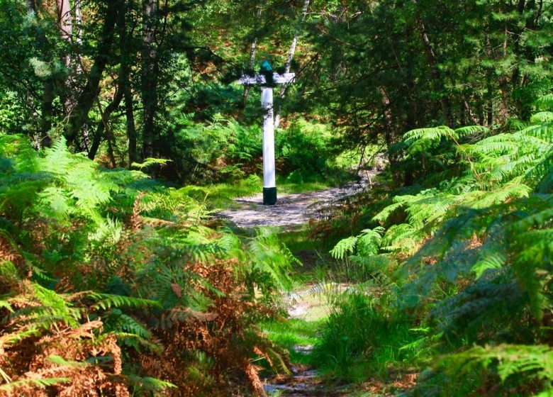 Le massif des trois forêts